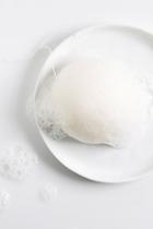 Konjac Sponge Co. Premium Facial Puff Sponge At Free People